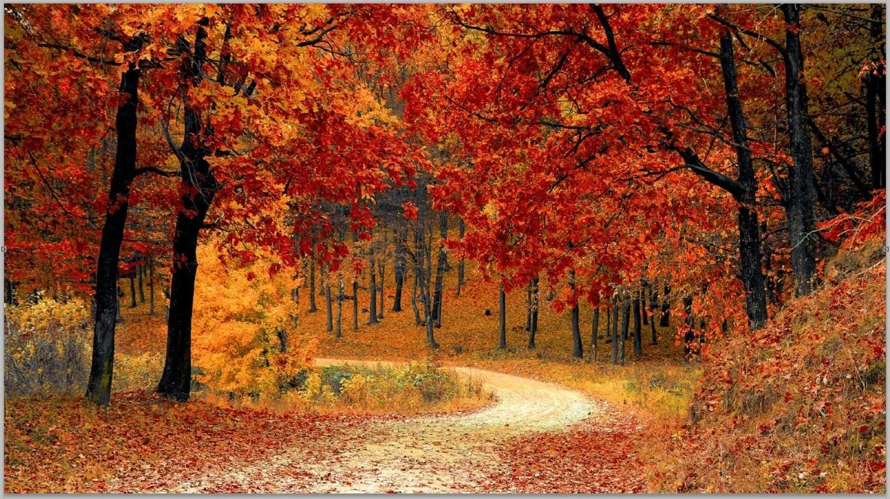 ΠΡΟΕΚΤΥΠΩΜΕΝΟ-ΥΠΕΡΥΘΡΟ-ΠΑΝΕΛ-KONIGHAUS-600-1200W-AUTUMN-FOREST