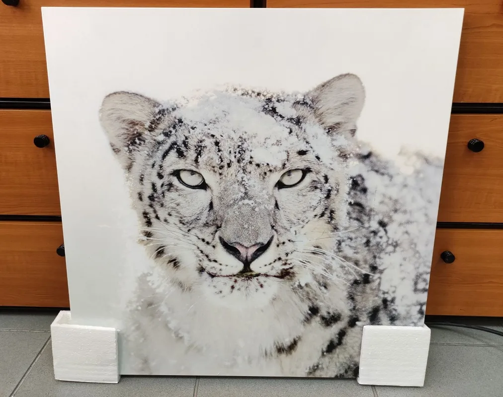 CRYSTAL AUDIO Εκτυπωμένο Πάνελ Υπέρυθρης Θέρμανσης 250W White Tiger