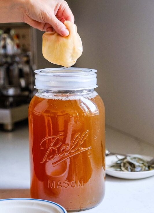 Κομπούχα-Μύκητας-Kombucha-SCOBY-Culture-Чайный-Гриб-Комбуча