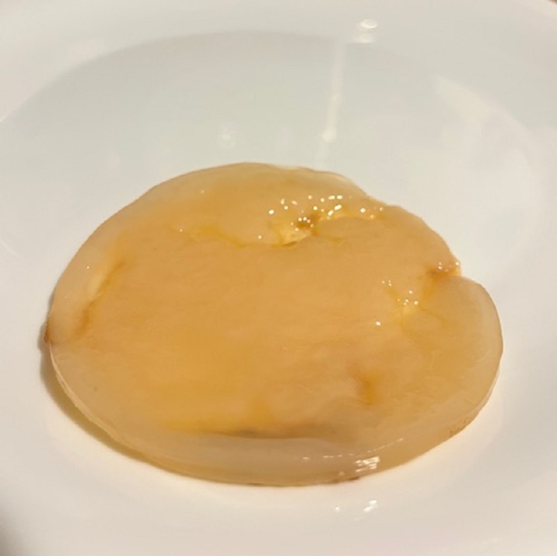 Κομπούχα (κομπούτσα) Μύκητας Μανιτάρι Kombucha SCOBY Culture Mushroom Чайный Гриб Комбуха